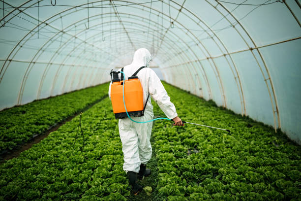 Best Best Pest Control Companies  in Oneonta, NY