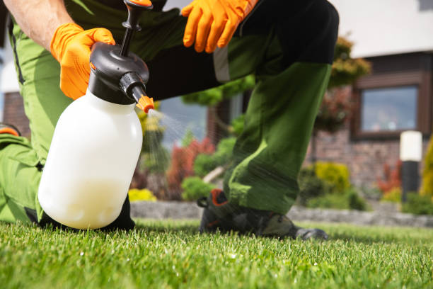 Best Cockroach Control Services  in Oneonta, NY