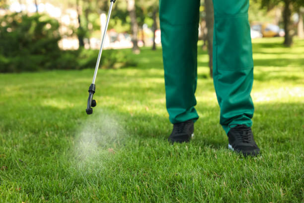 Best Termite Control Services  in Oneonta, NY