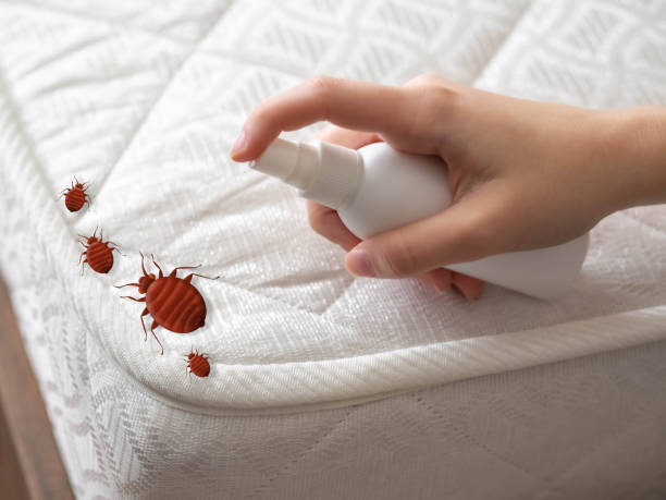 Best Mosquito Control Services  in Oneonta, NY