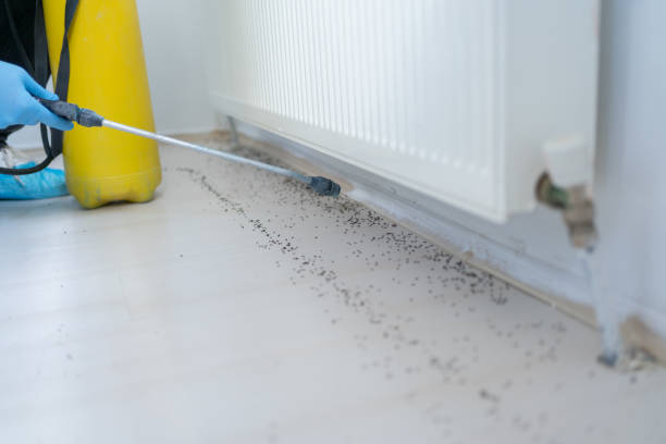 Best Flea Control Services  in Oneonta, NY
