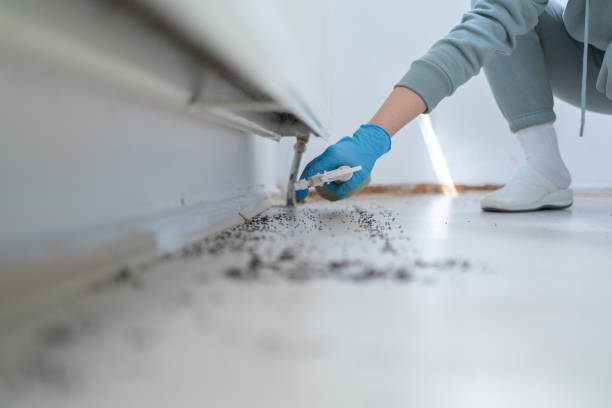 Best Pest Prevention Services  in Oneonta, NY